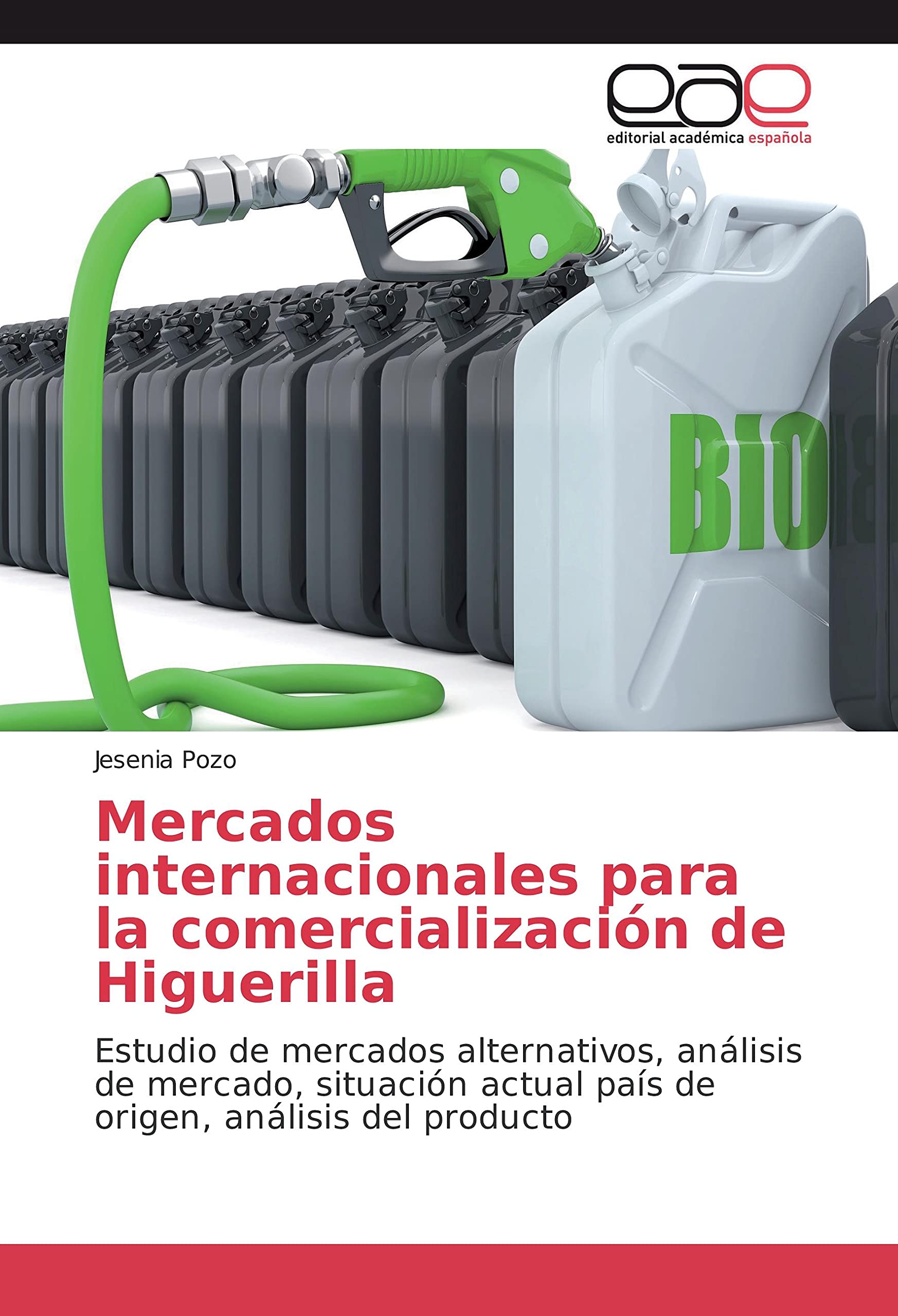 Mercados internacionales para la comercialización de Higuerilla: Estudio de mercados alternativos, análisis de mercado, situación actual país de origen, análisis del producto