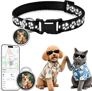 Collar GPS Gatos sin Suscripción