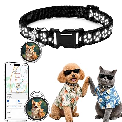 Localizador GPS para Gatos (Sin suscripción)
