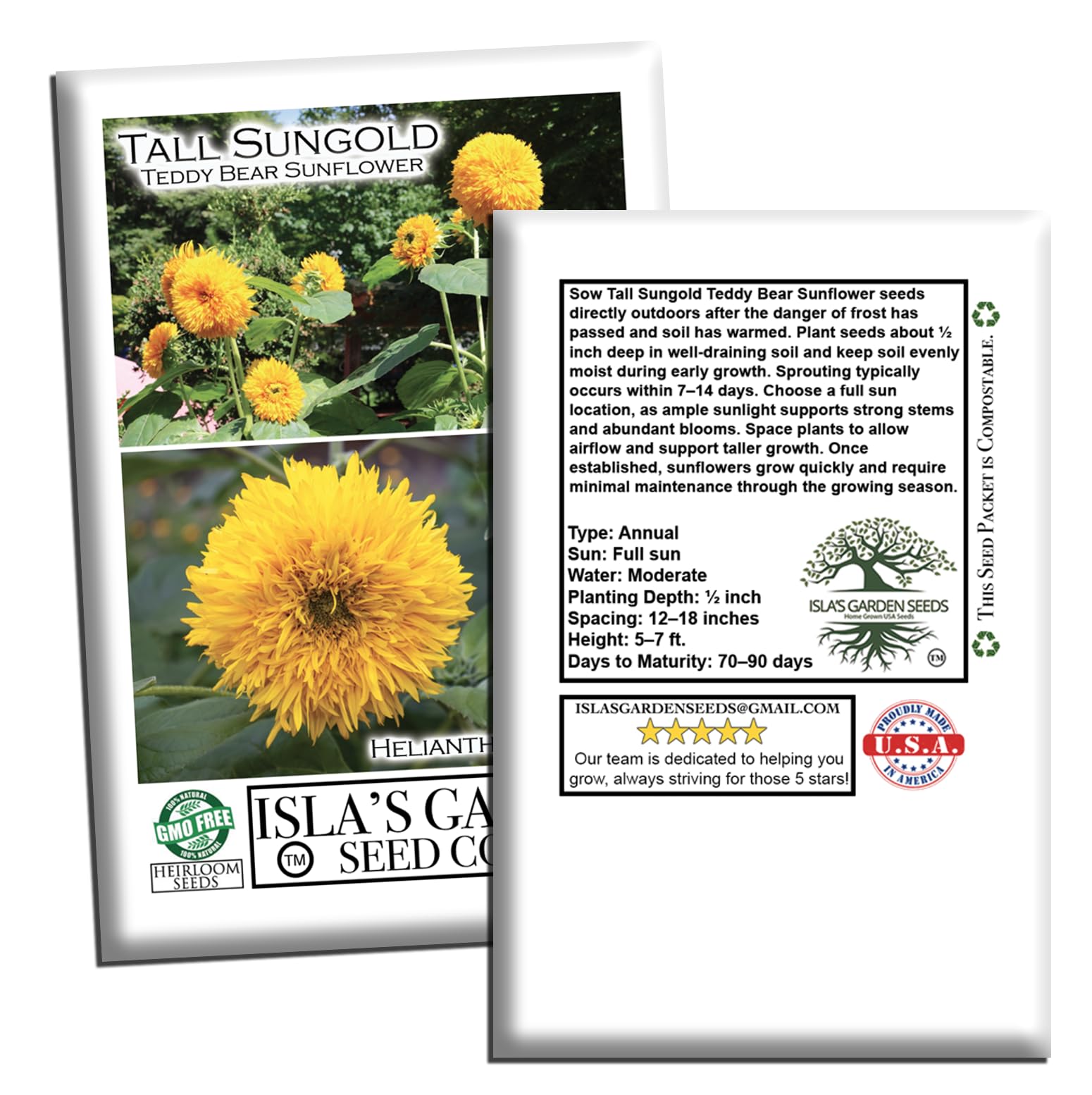 Amazon.com : Tall Sungold Sunflower Seeds (Helianthus annuus) – 50