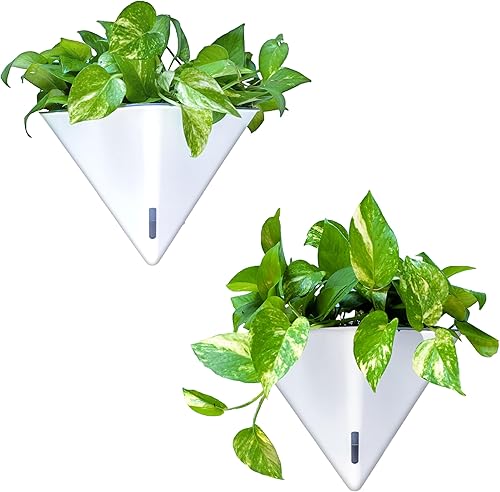 Miniatura 10 de LaLaGreen - Macetas de pared para suculentas, paquete de 2, macetas grandes de 12 pulgadas para colgar en la pared de plantas de interior, color