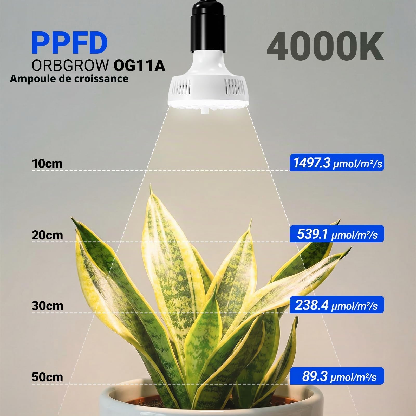 Barrina Orbgrow OG11A2 Lampes Horticoles à Pince, 4000K 22W, 2Bras Flexible