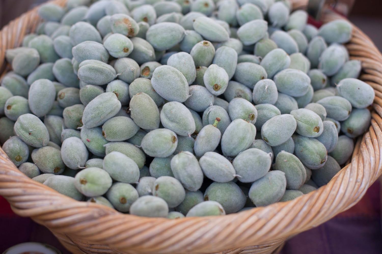 Generic Unripe Almonds, Green Almonds, Fresh Green Almonds, Green Cagla Fruits, Raw Almonds, 4 LBS