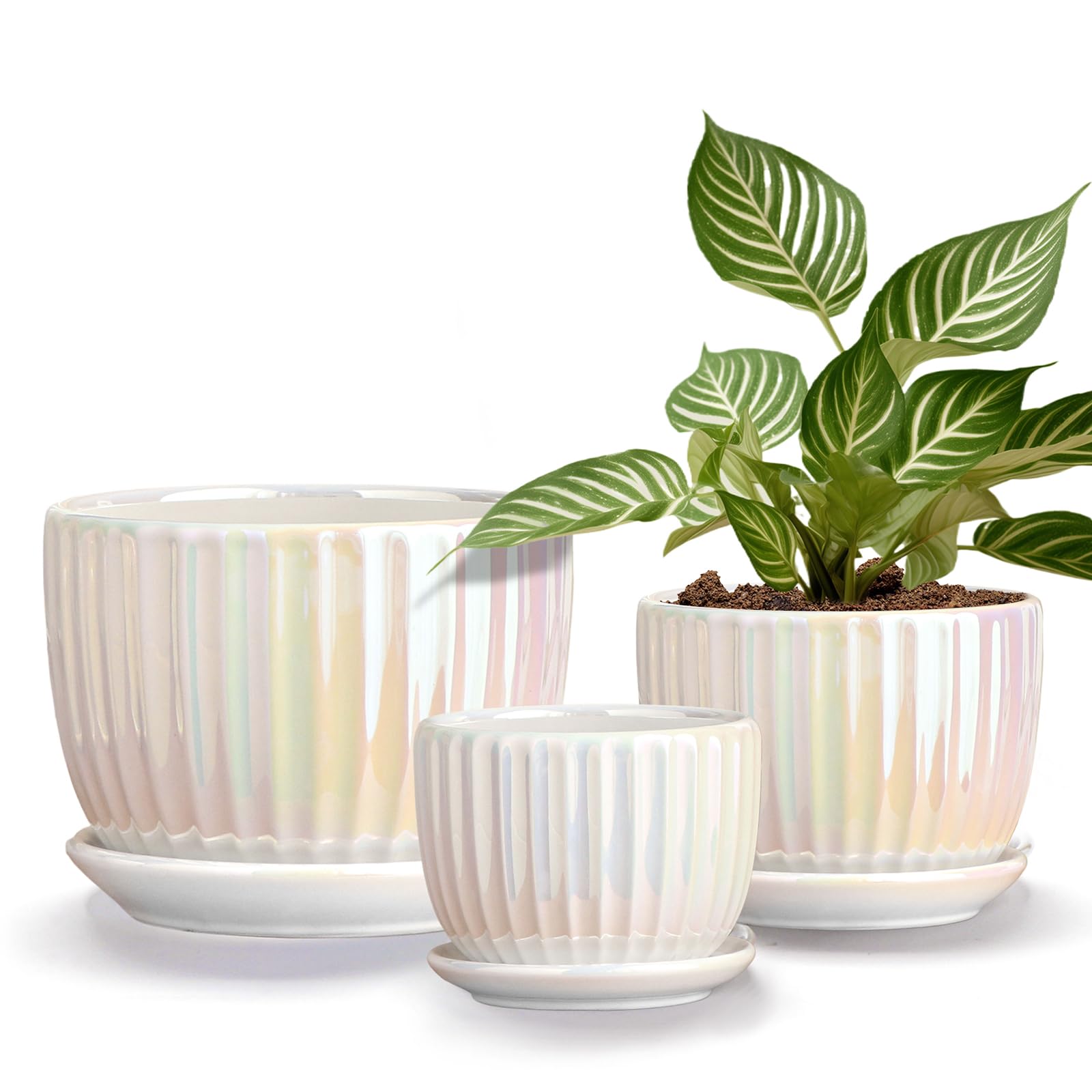 Photo 1 of ***PARTIAL SET, Missing 1 ***Ton Sin Ceramic Plant Pots, Set of 3 (Pearl White)