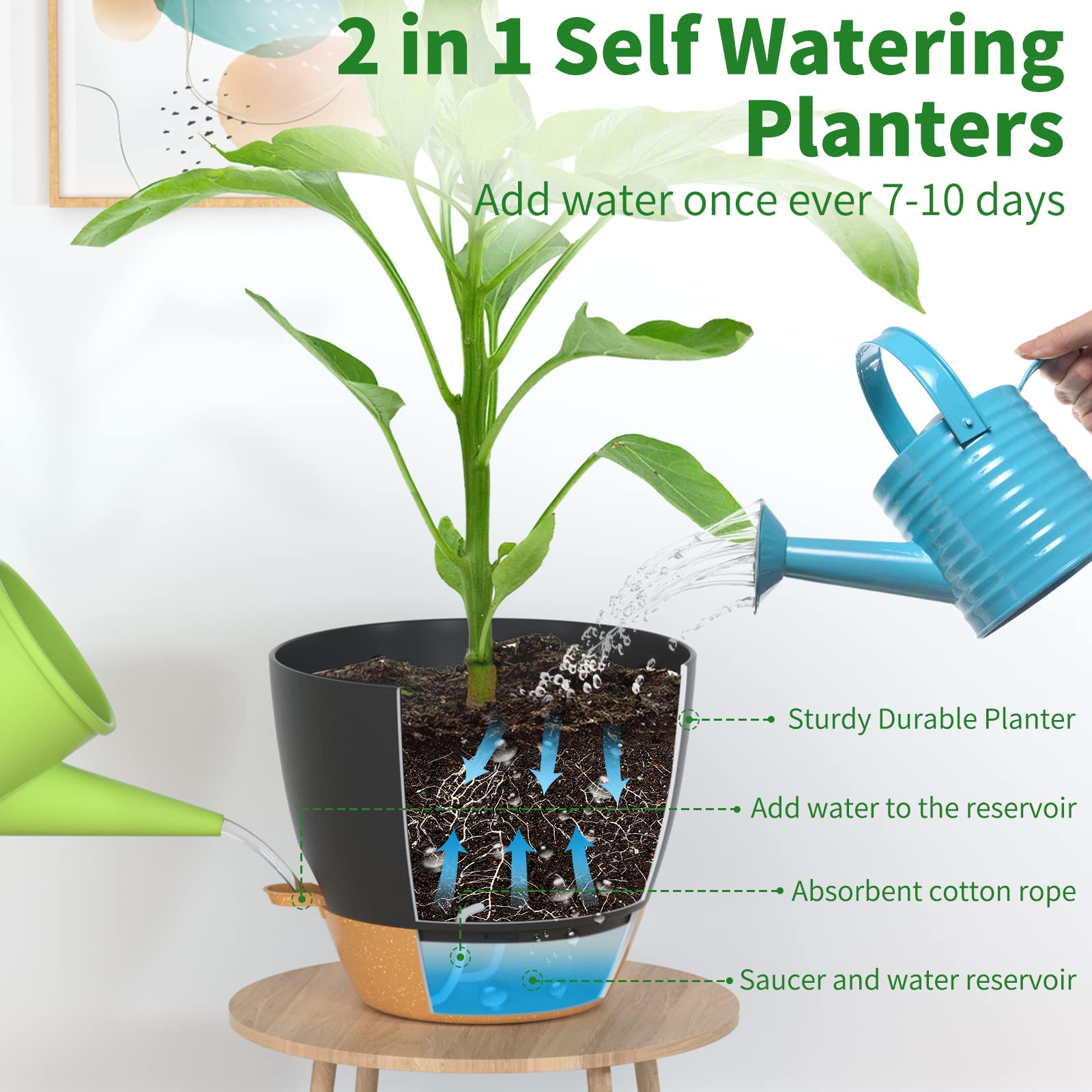 Amazon.com: FIASON 12 Inch Self Watering Pot for Indoor Outdoor Plants,  Large Plastic Planter with Visual Water Window, Drainage Holes & Watering  Lip, Modern Decorative Flower Pot (Black) : Patio, Lawn &