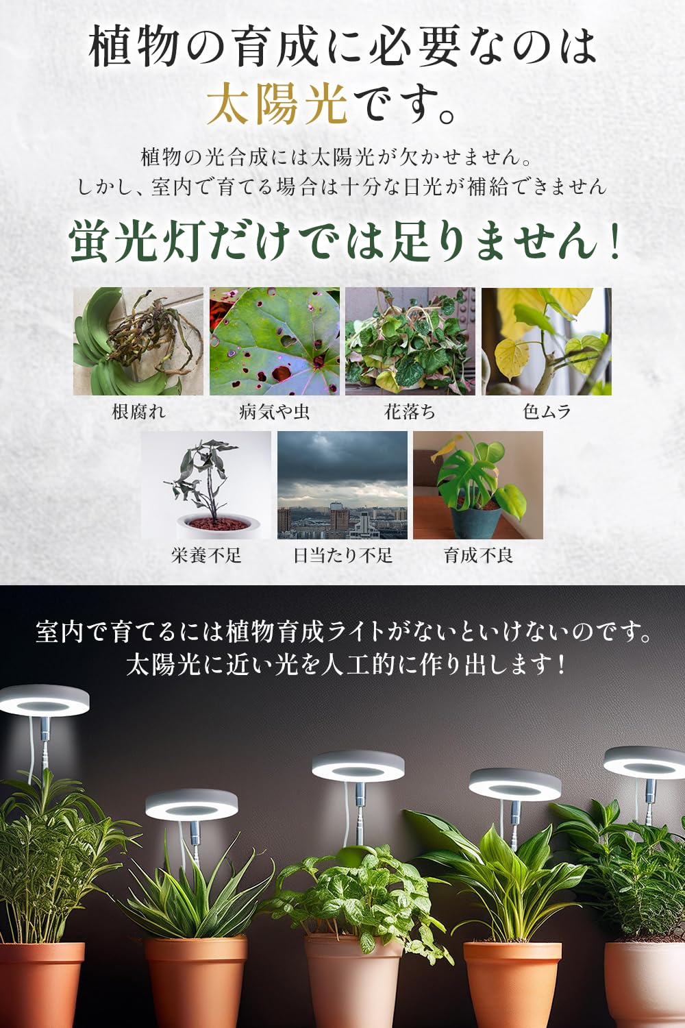 Amazon.co.jp: 植物育成ライト LED （初心者専用）【植物育成のプロ2