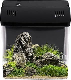 Desktop Aquarium | Kleines Becken Mit Filter | Wohndekoration | Für Riffaquarien Quallen Frösche Desktop Büro Schreibtisch Wohnzimmer Und Haustierheim