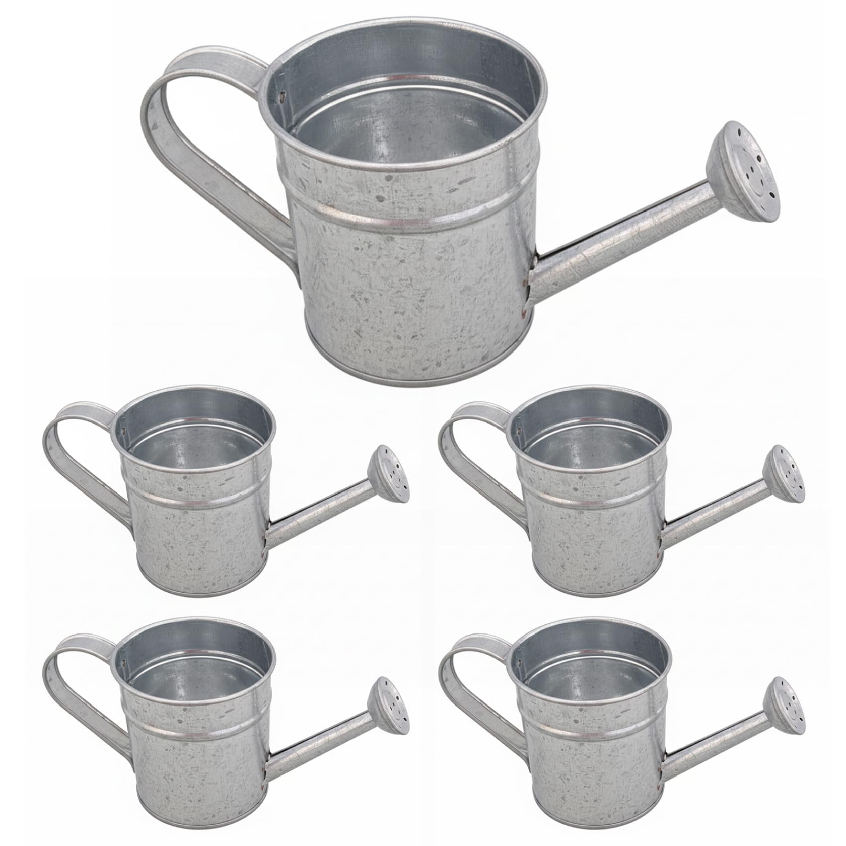 Petits pots d'arrosage en fer pour créer votre oasis végétale