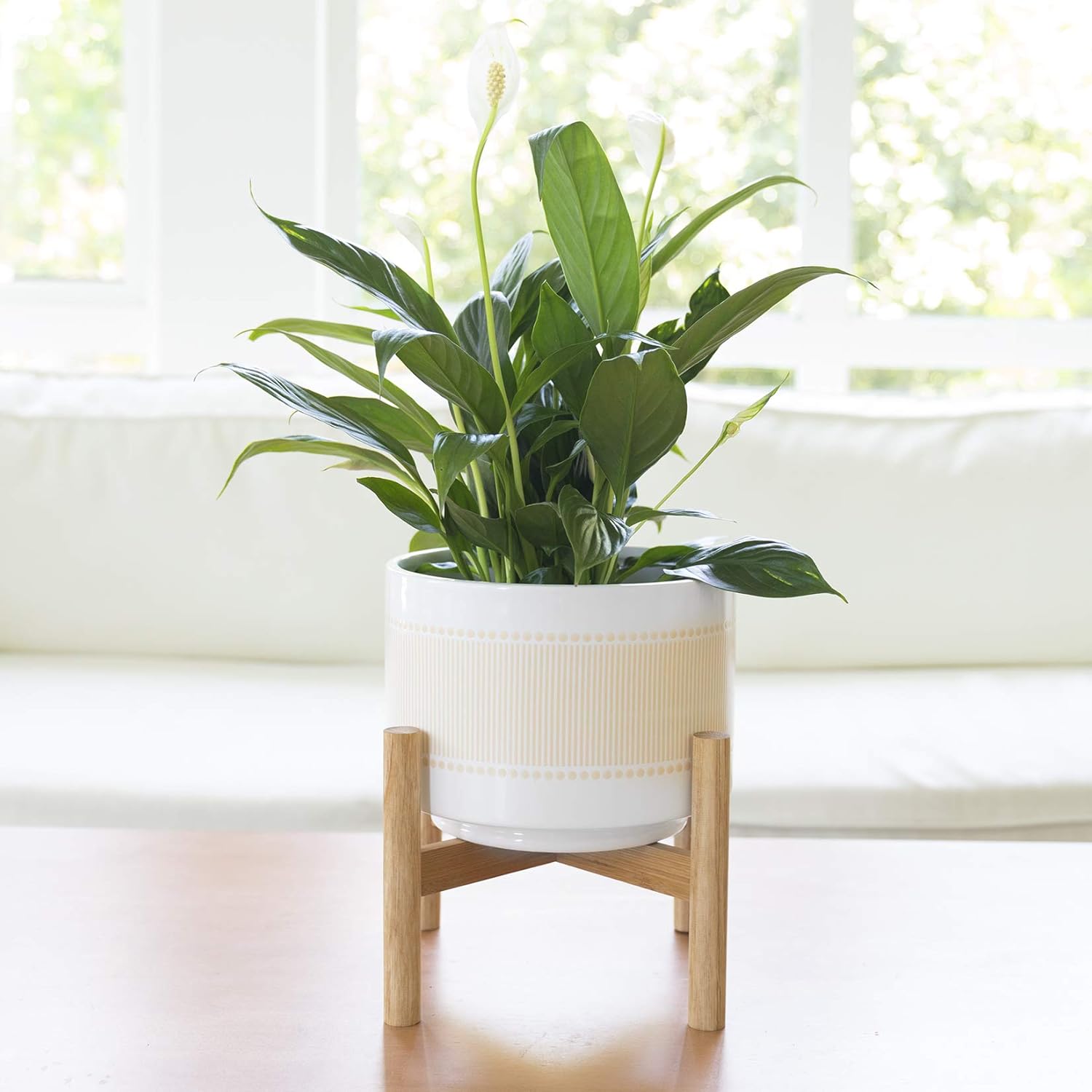 LA Jolie Muse Ceramic Planter with Wood Stand - 8 Inch Boho Dot-Line Pattern Cylinder Flower Plant Pot for Indoor, Yellow Beige & Bright White