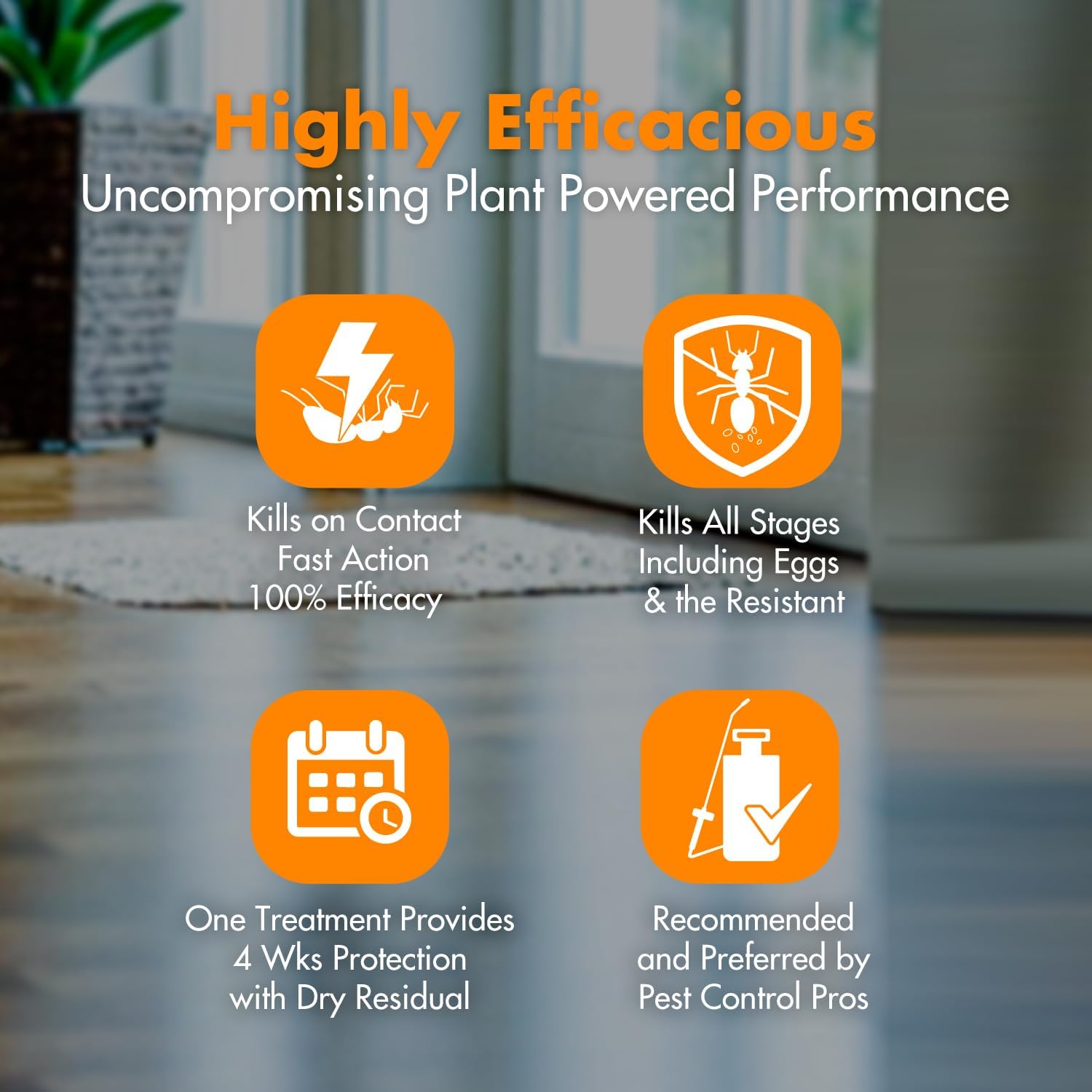 EcoRaider Ant & Crawling Insect Killer (34 OZ), 100% Fast Kills, Also Kills Fire Ants. Lasting Repellency, Safe for Children & Pets