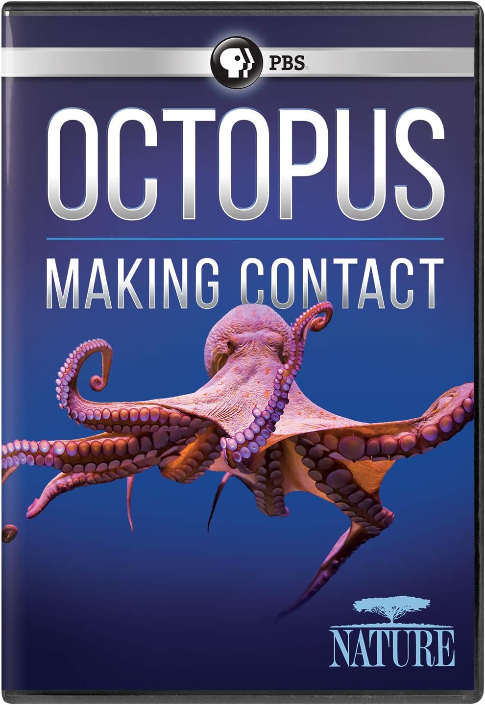 NATURE: Octopus: Making Contact