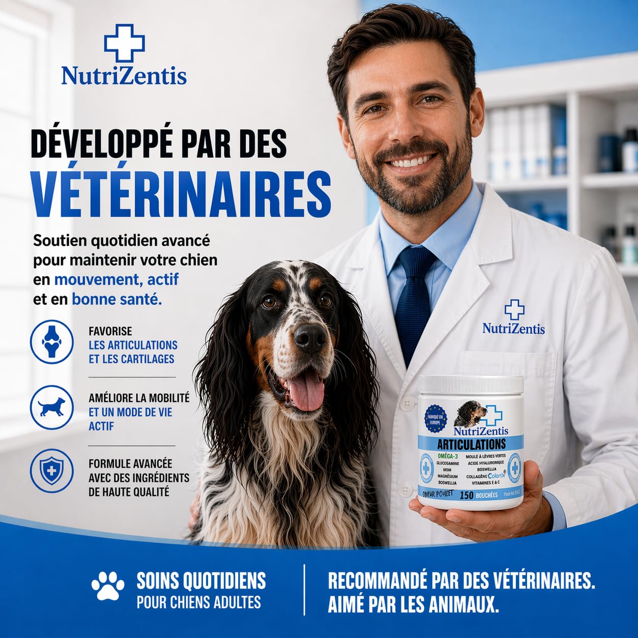 Articulation Chien 300 Bouchées Anti Inflammatoire Chien Glucosamine Chondroïtine MSM Collagène Colartix® Omega 3 Poudre de Moule Verte | Fabriqué en Europe | 300 Bouchées au Poulet