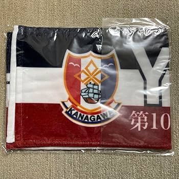 ⭐︎センバツ優勝⭐︎ 横浜高校　マフラータオル　甲子園　高校野球　野球部 新品 未使用 横浜高校 野球部 タオル マフラータオル 高校野球