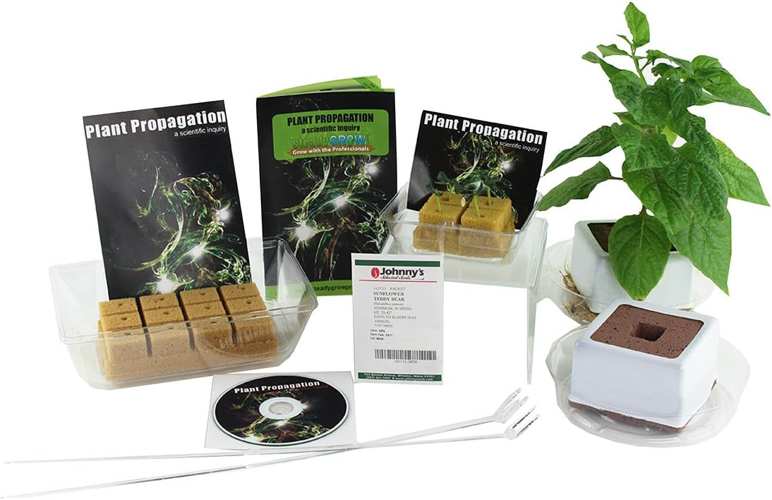 Syndicate Sales steadyGROWpro 18-Kit High School Plant Propagation Instructional Growing Kit