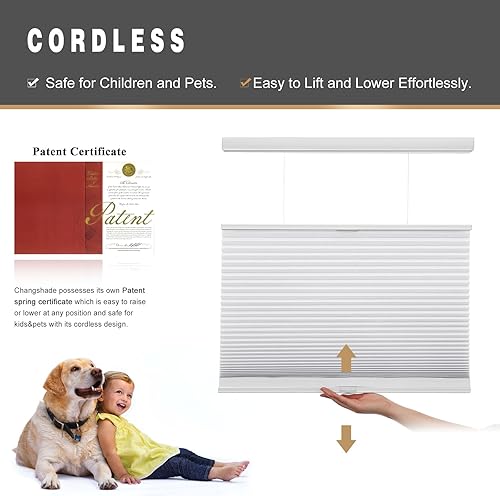 Miniatura 3 de Changshade Persianas celulares de filtrado de luz personalizadas, sin cables, de arriba hacia abajo, de abajo hacia arriba, plisadas de panal de una