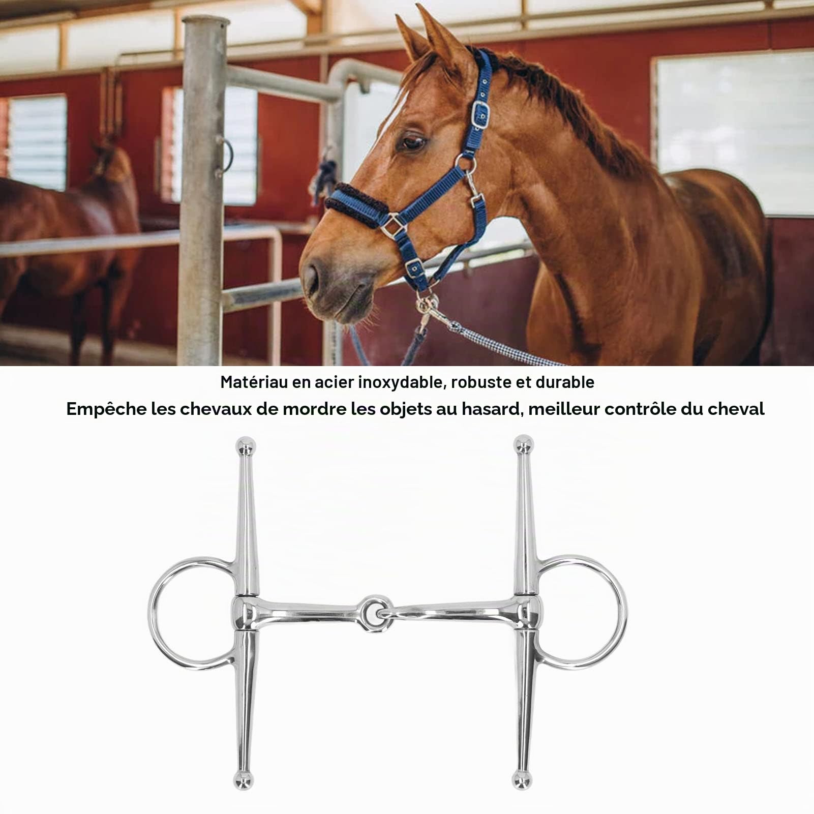 Mors de Cheval Articulé à Anneau, Robuste, pour Bouche de 125 mm, pour Ferme Équestre
