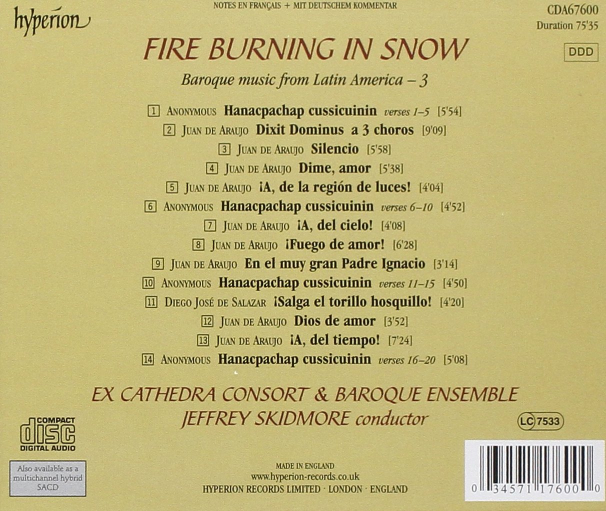 Fire Burning in Snow