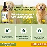 Ver la foto 6