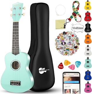Soprano Ukulele Beginner Kit for Kids Adult Student 21 Inch Ukelele w/Free Online Lesson Gig Bag Strap String Tuner Songbook Pick Polishing Cloth, Rainbow Series Ukalalee(Shinny Mint Green）