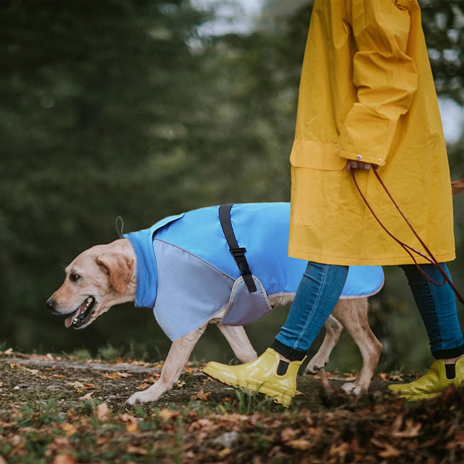 Impermeabile Per Cani Leggero Copertura Totale | Impermeabile per Cani Per Attività all'Aperto Camminata Jogging Escursionismo