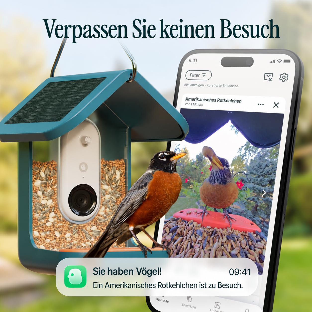 Birdbuddy PRO Solar Smart Bird Feeder mit Kamera – KI-Vogelartenidentifizierung, 5-MP-Fotos, 2K-HD-Video-Livestream-Kamera, Zeitlupenvideo, 2,6-Zoll-Fokus – Blue Solar