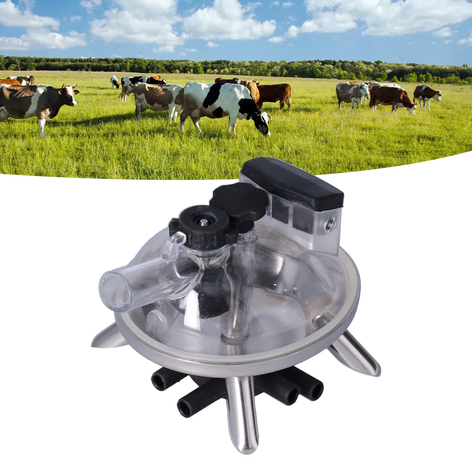 Collecteur De Lait De Vache, Accessoire De Machine à Traire De Ferme Efficace De 240 ML avec Base en Acier Inoxydable