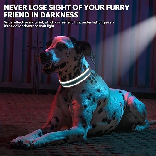 Miniatura 8 de Collares de perro con luz para perros grandes, recargable por USB, resistente al agua, que brillan en la oscuridad, collar iluminado para perros por