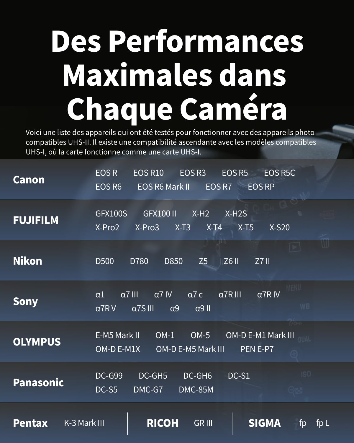 Nextorage Marque Japonaise Carte SD UHS-II 256Go SDXC V60 Vitesse de Lecture maximale 280MB/s Vitesse d'écriture maximale 170MB/s Enregistrement 4K NX-F2SE256G Carte mémoire