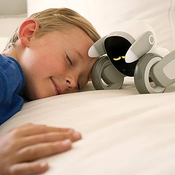 Amazon | Loona The Most Advanced Smart Robot Pet Dog - 音声