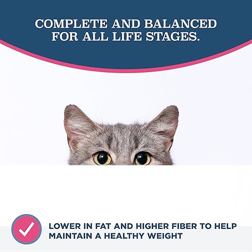 Miniatura 3 de Blackwood Alimento seco para gatos, fórmula para adultos, receta de harina de pollo y arroz integral, bolsa de 4 libras, alta en proteínas, cocción