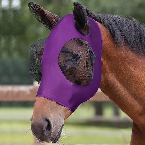 Élasticité Masque de Mouche de Cheval, Nylon Masque Anti-Mouches Protection, Anti-Mouches/Anti-UV/Protéger Les Yeux et Les Oreilles, Violet - 1
