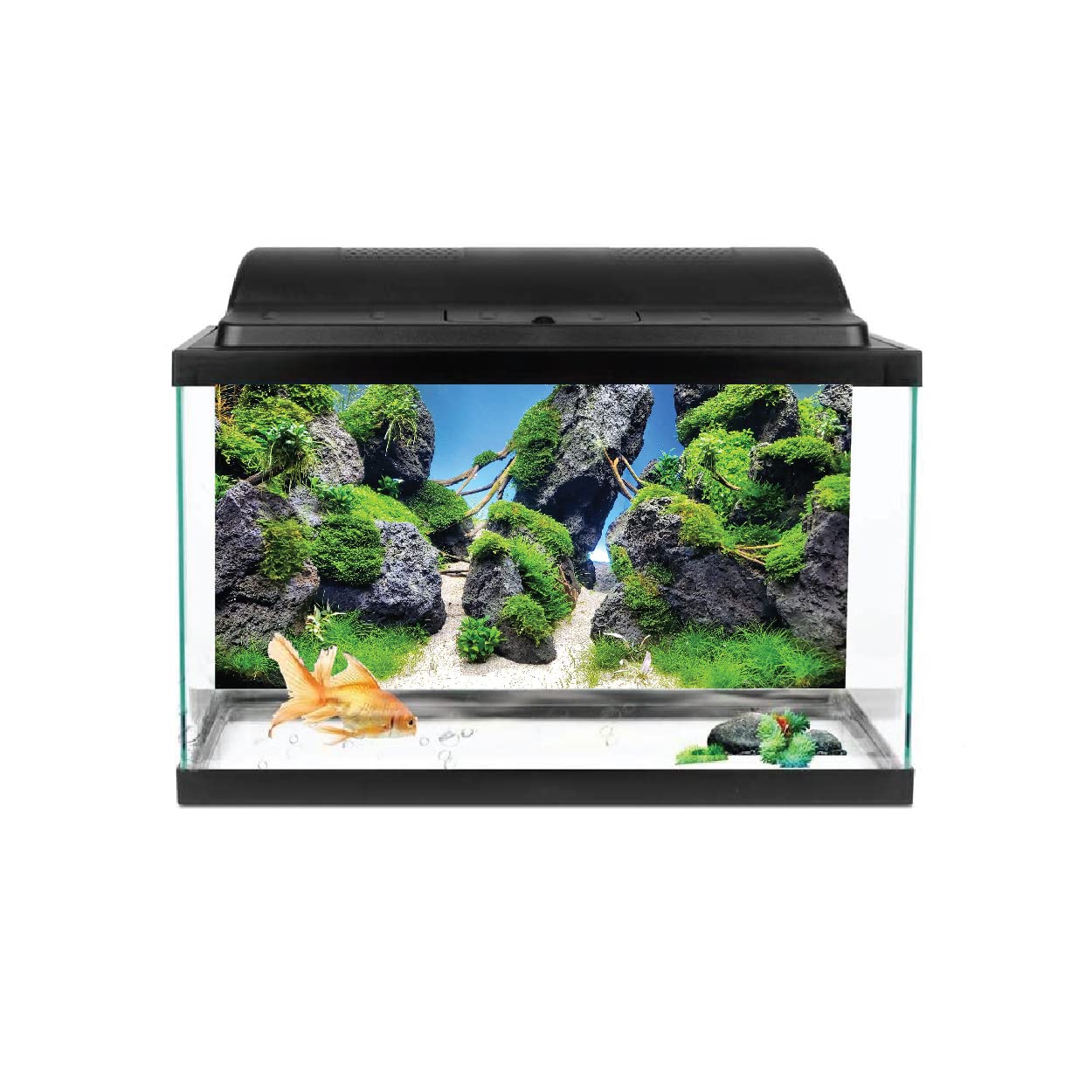 VVWV® Ocean Rock Aquarium Background Stickers for Fish Tank Waterproof Vinyl Printed Multicolored Sticker (61 x 30 CMS) (B0BWFC7PBB) Amazon Price History, Amazon Price Tracker
