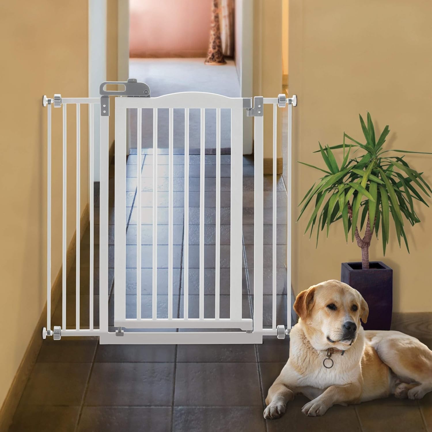 richell one touch pet gate