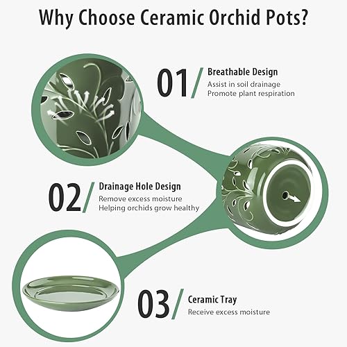 Miniatura 10 de EFISPSS Maceta de orquídea de 5 + 6 pulgadas, macetas de orquídeas de drenaje de cerámica con agujeros para un crecimiento saludable de las raíces,