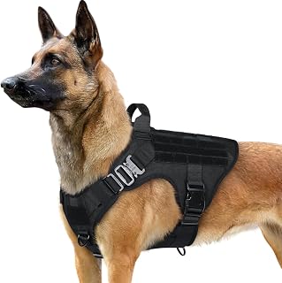 rabbitgoo Tactical Dog Harness Large Breed - Heavy Duty No-Pull Military Vest with Handle, MOLLE System for Training, Hunting, Service Dogs, Black L
