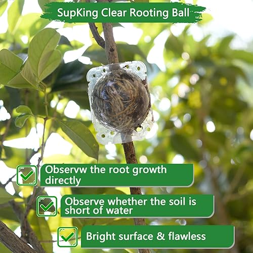 Miniatura 3 de SupKing Enraizamiento de plantas Bola de propagación de crecimiento pequeña, Enraizamiento de corte asistido negro, Dispositivo de enraizamiento de
