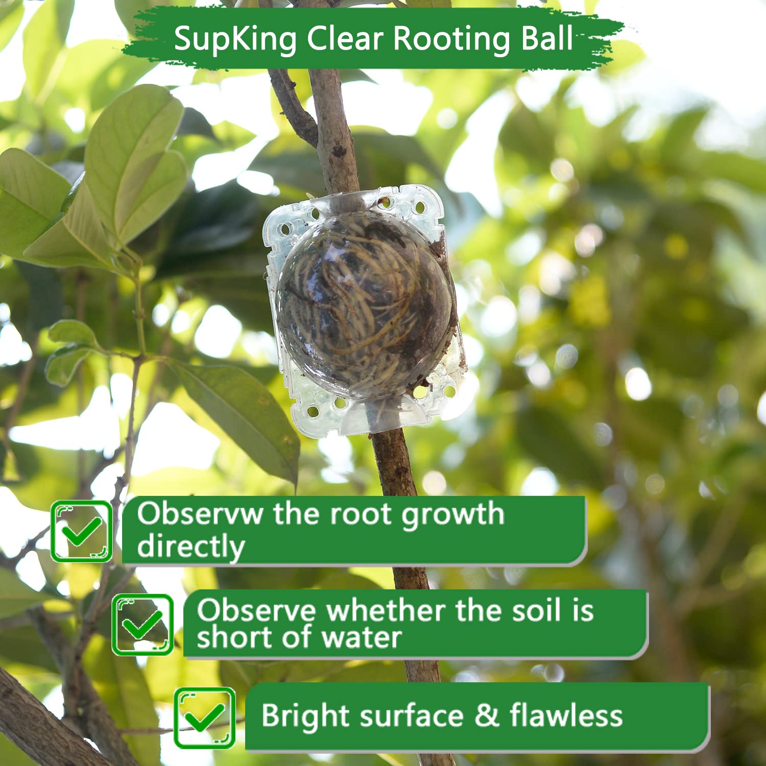 Grow More Plants: Reusable Air Layering Pods – Bonsai & Tree Propagation Balls (Set)