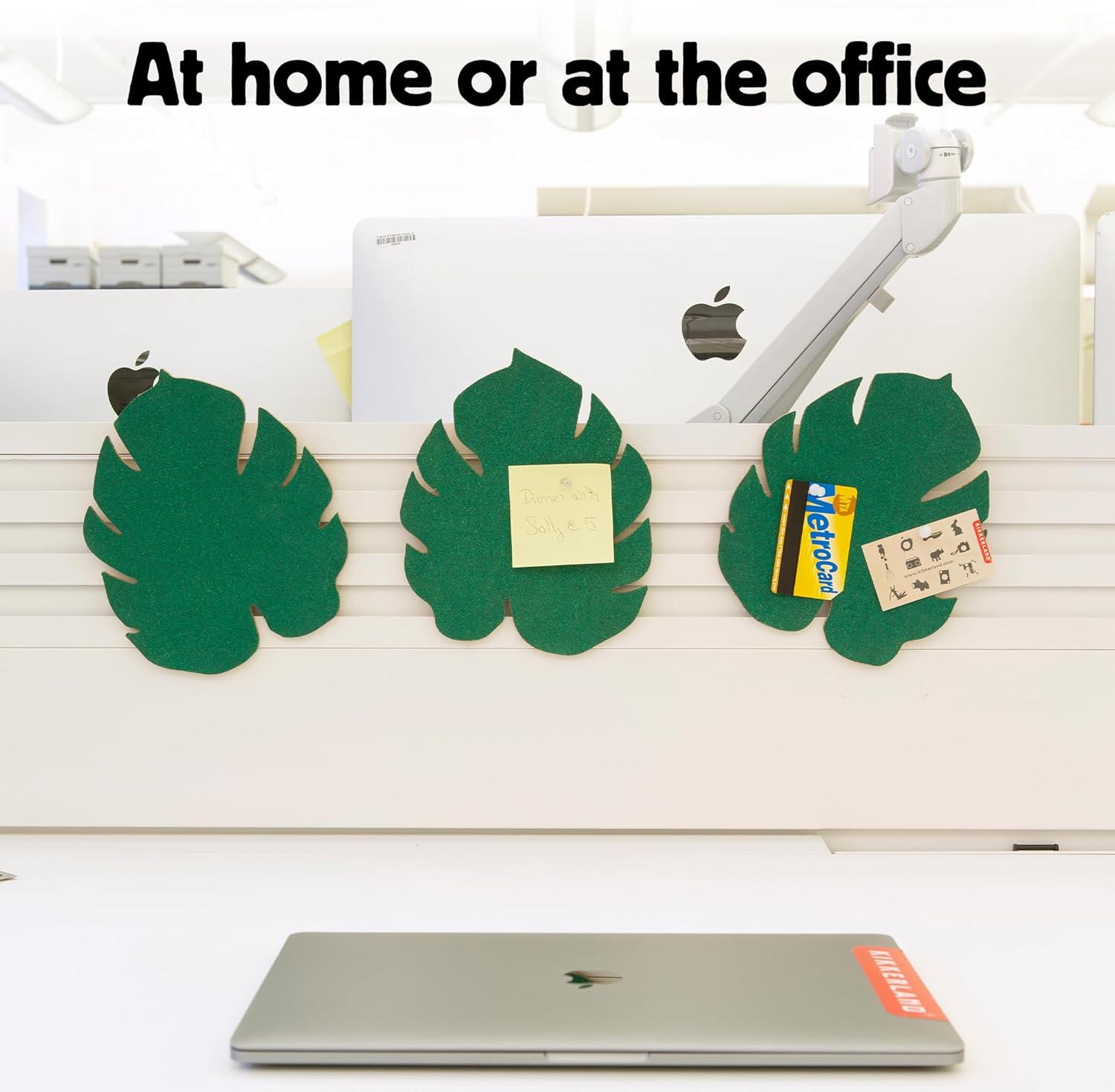 Kikkerland Set of 3 Monstera Leaf Cork Board – Bulletin Board with Self-Adhesive – Decorative Display for Home and Office