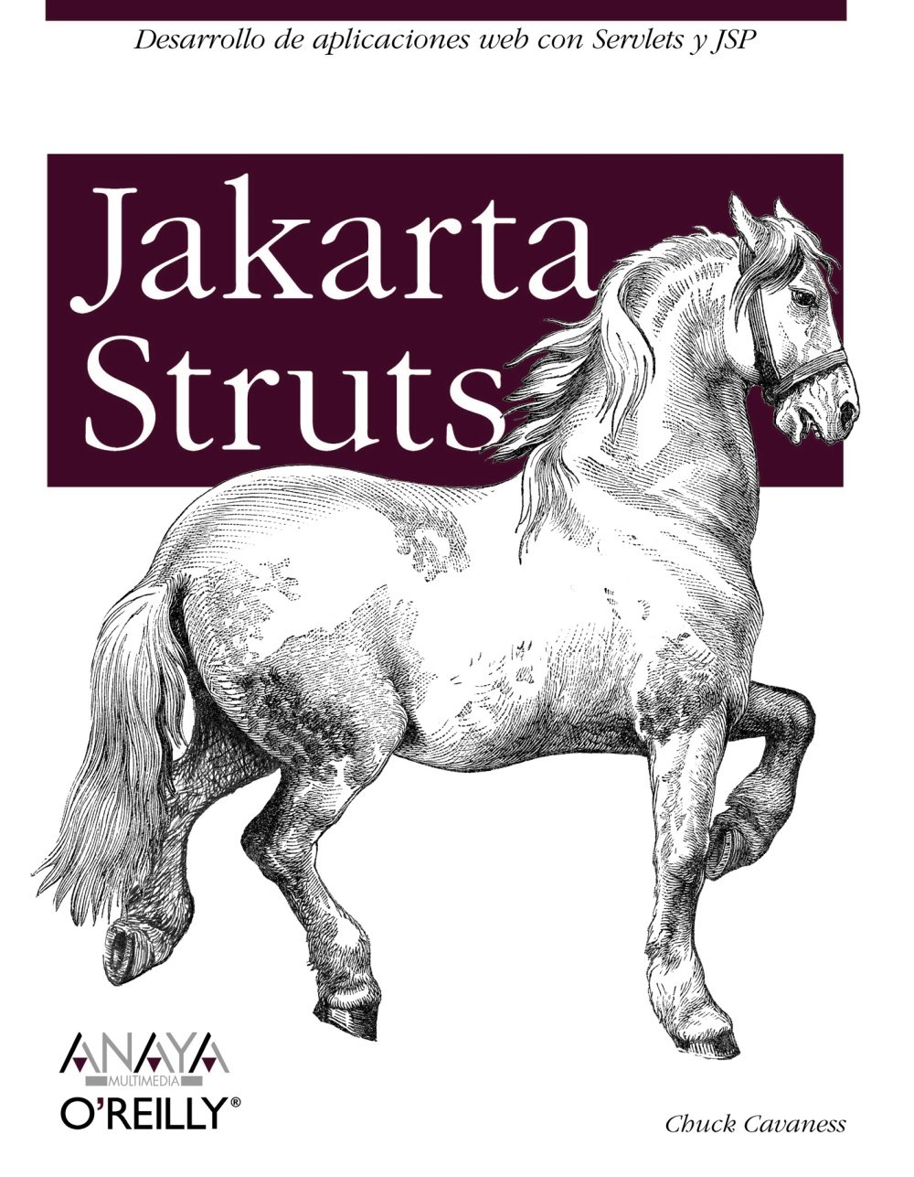 Jakarta Struts / Programming Jakarta Struts (Spanish Edition) Cavaness