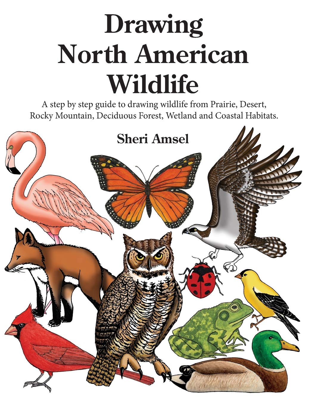 Drawing North American Wildlife: A step by step guide to drawing wildlife from Prairie, Desert, Rocky Mountain, Deciduous Forest, Wetland and Coastal Habitats.