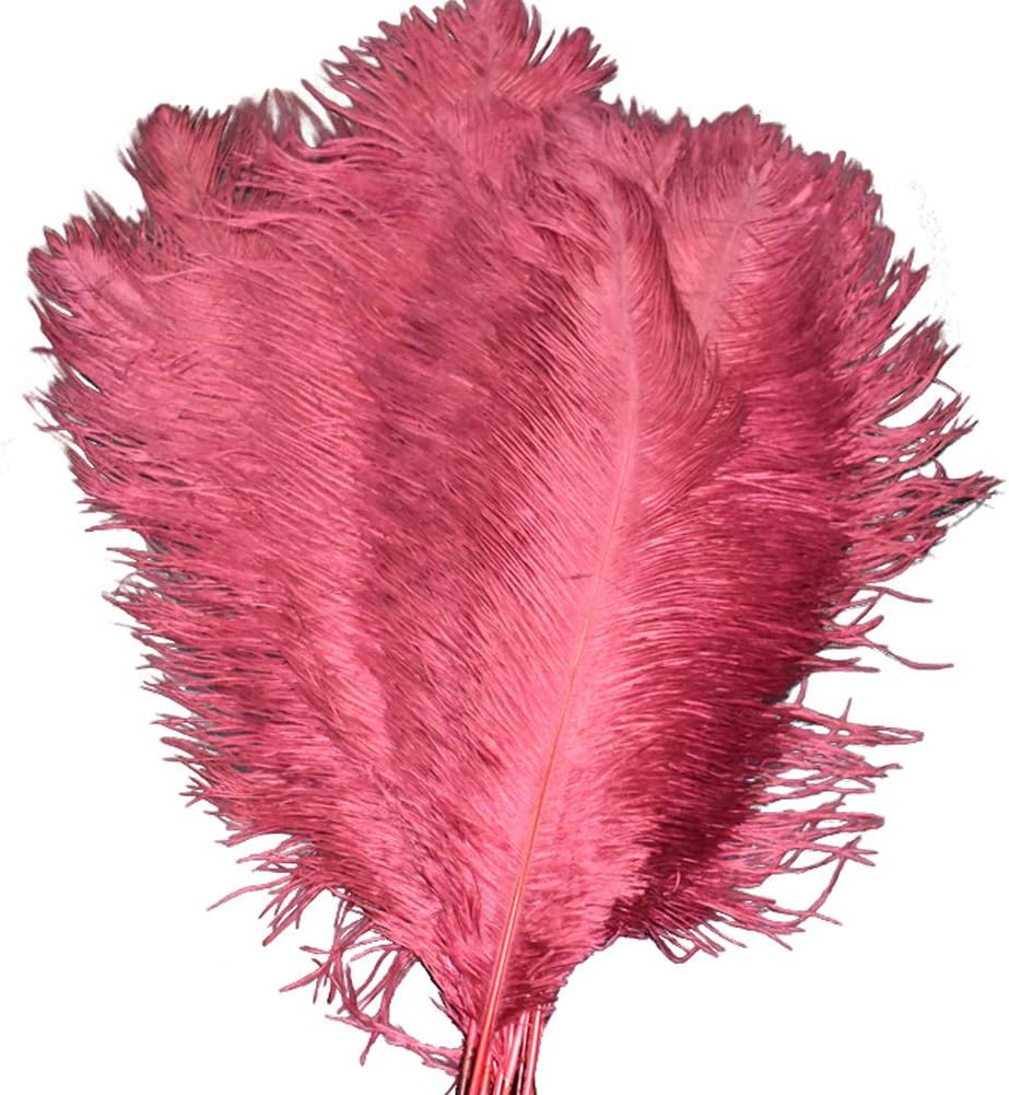 Lanpeed 10pcs Ostrich Feathers 16-18inch(40-45cm) for Home Wedding Party Decoration (Red Wine)