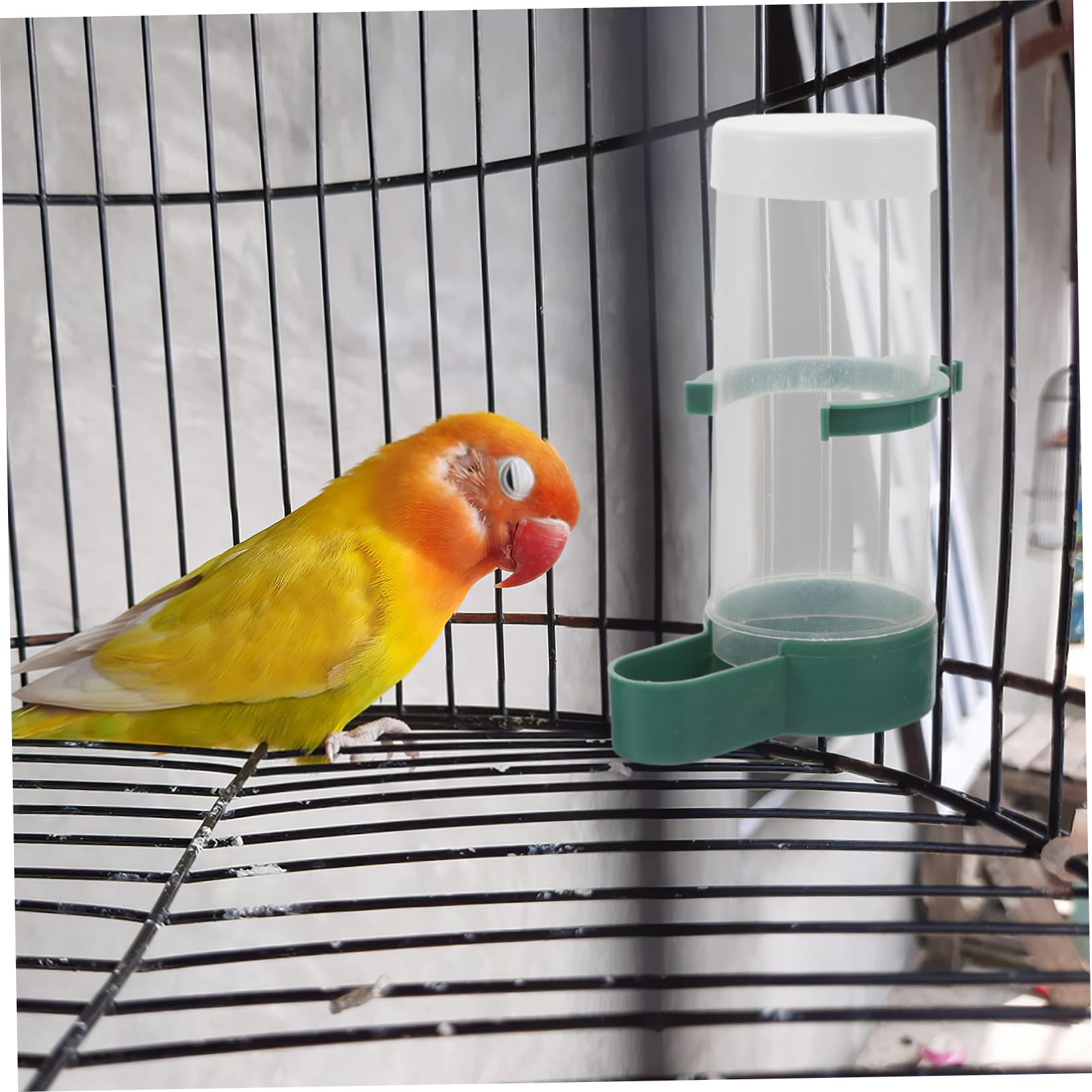 BESPORTBLE 20stücke Automatischer Futterspender Für Vögel Vogelkäfigzubehör Toplader-Design Ausgewogene Fütterung Vogelfreundlich Geeignet Für Papageien Sittiche Kanarienvögel