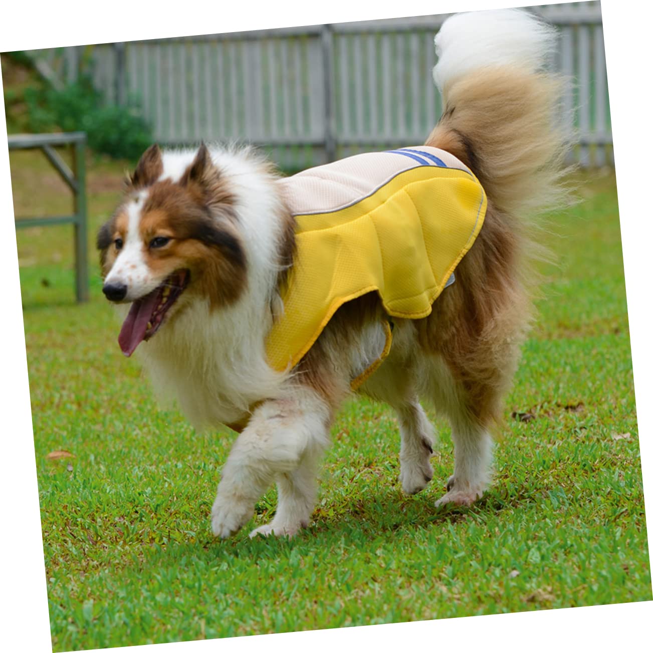 BESPORTBLE Combinaison Rafraîchissante D'été pour Animaux De Compagnie Gilet Solaire Léger Tissu Respirant Taille l Protection Solaire pour Chien Chat en Plein Air