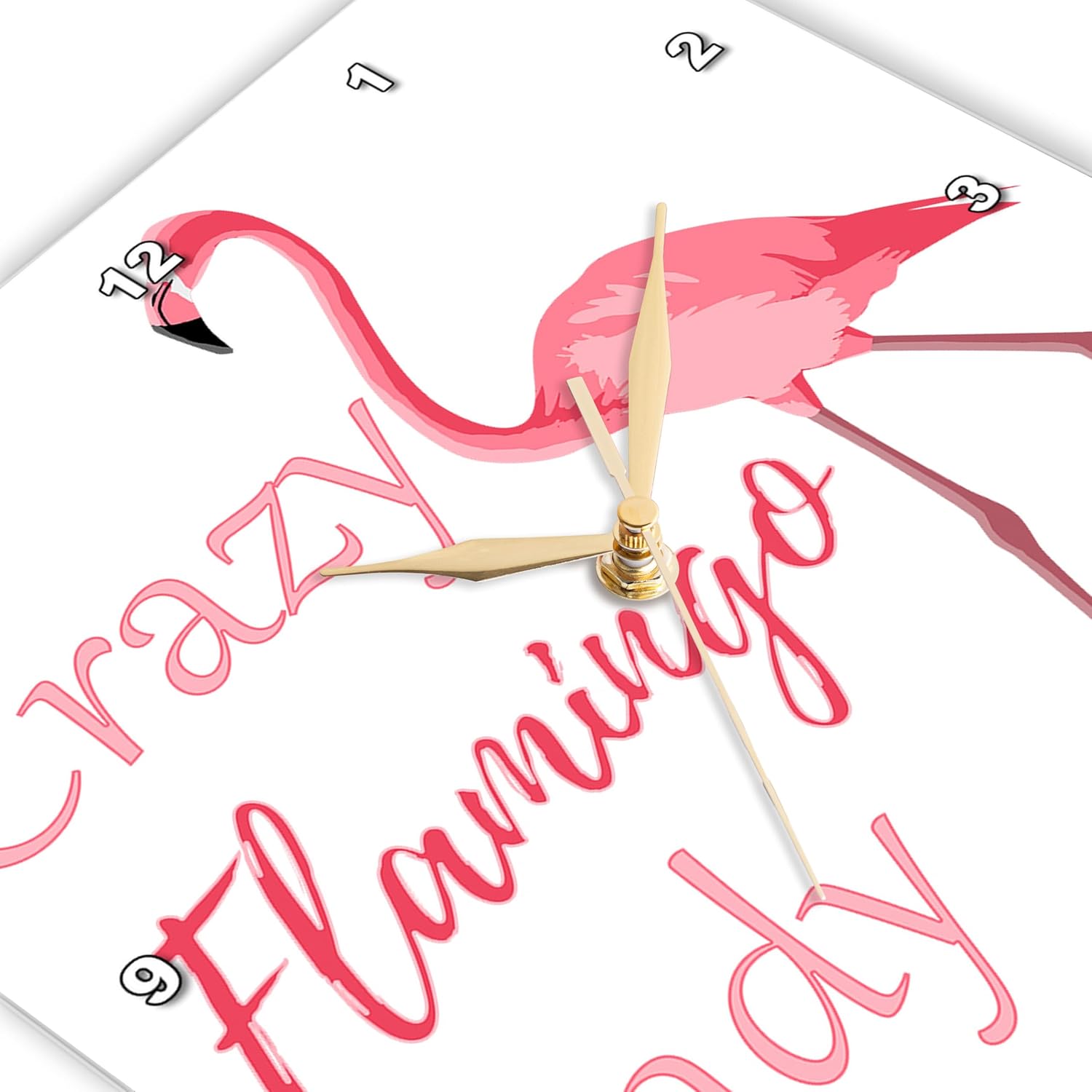 3dRose DPP_291868_3 Lady for Anyone who is Crazy About Flamingos. -Wall Clock, 15-inch, Multicolor