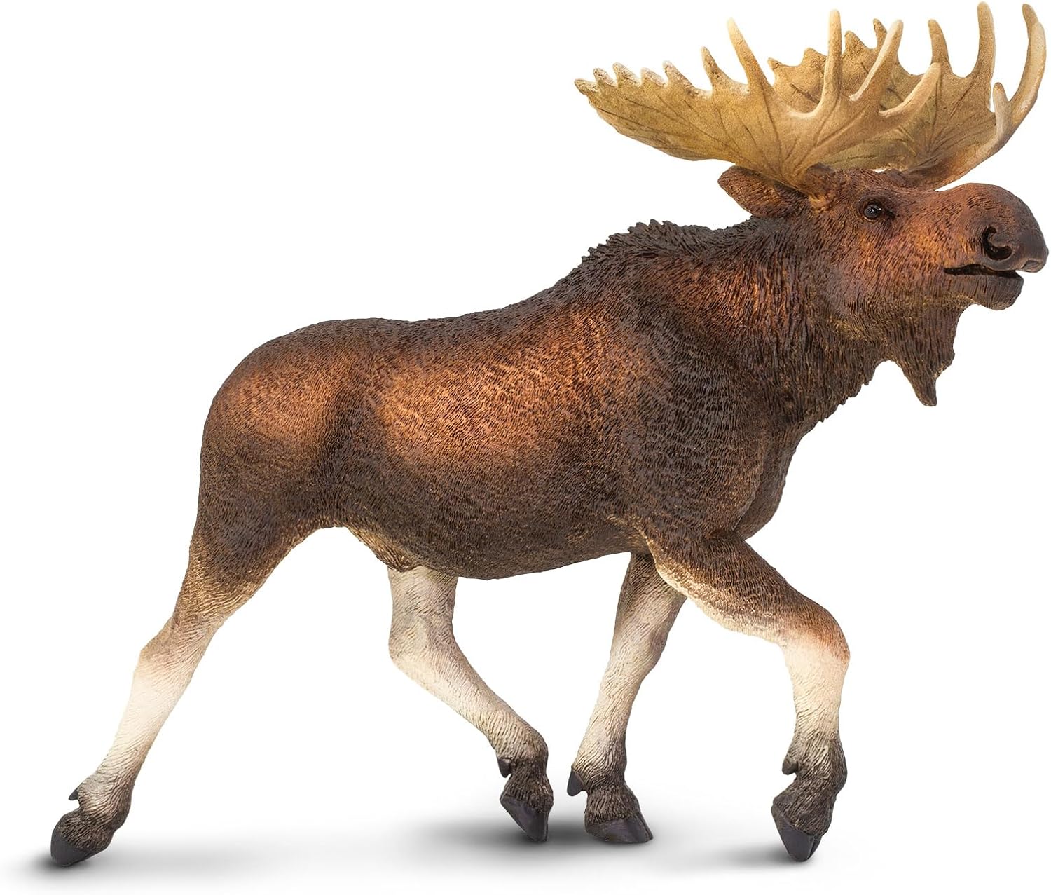 Safari- Elk Animals, Multicoloured (S113289)
