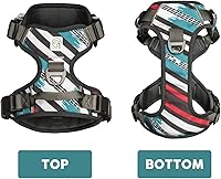 Vista 7 de Embark Urban - Arnés para perro sin tirones para perros pequeños, medianos y grandes. 2 clips para correa, parte delantera y trasera con asa