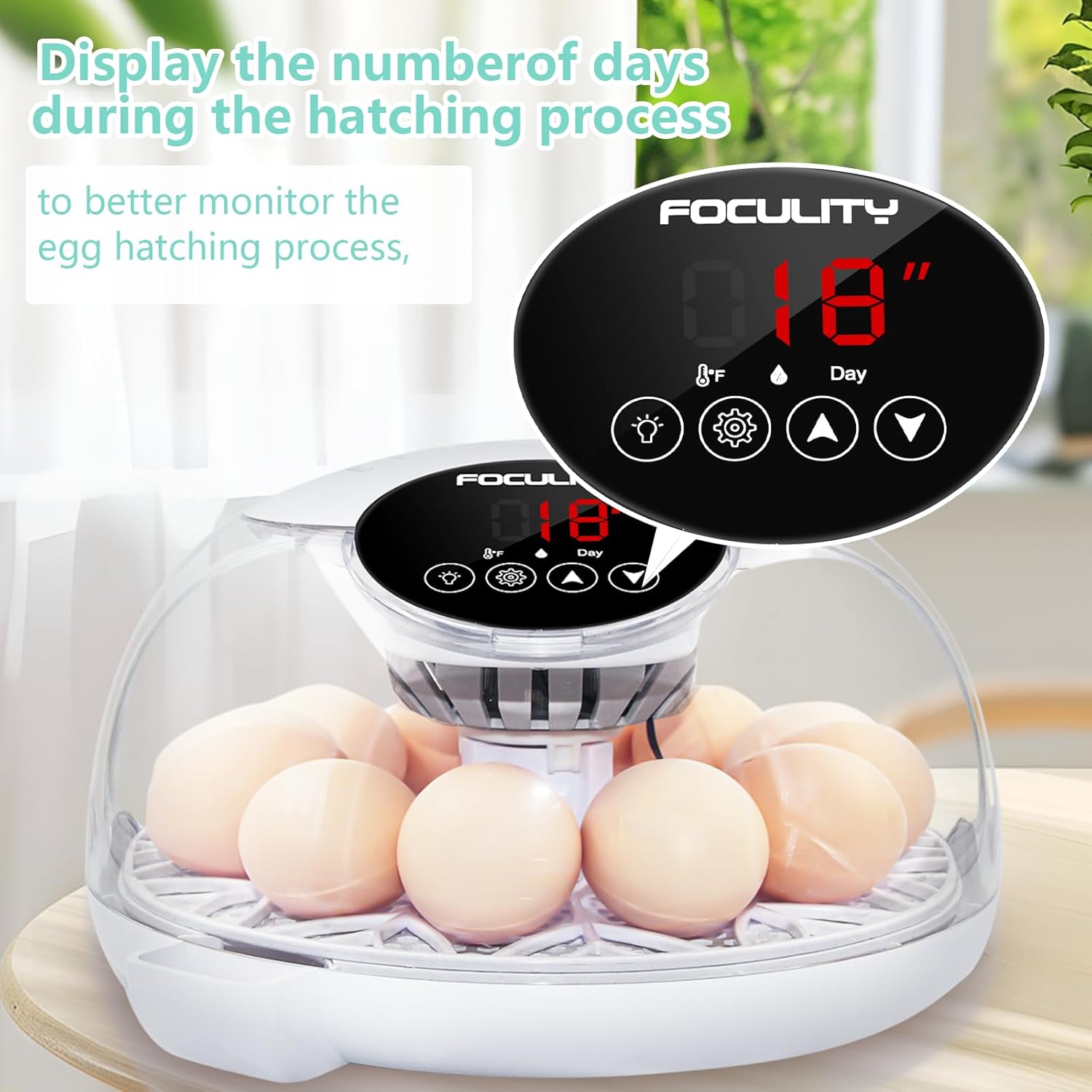 Egg Incubator for Hatching Chicks, Holds 12 Eggs, Automatic Egg Turner with Temperature, Humidity Display, Egg Candler, Automatic Egg Turner, 360 Degree View with Clear Window