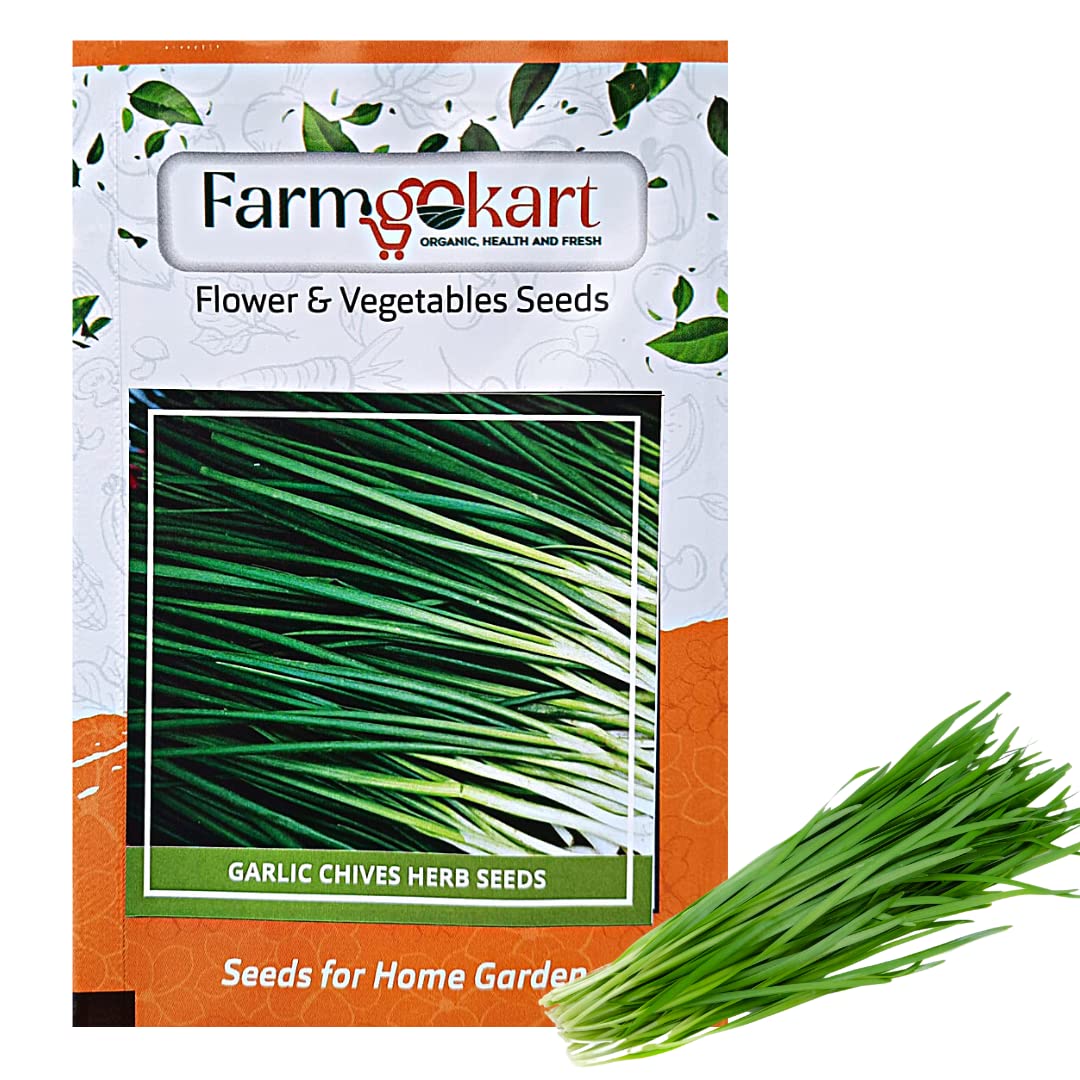 See full amazon price history chart for Farmgokart | Pack of 75 Nos | GARLIC CHIVES Best Suitable For Terrace And Home Gardening |Quality Herb Seeds Pouch| Farmgokart | Pack of 75 Nos | GARLIC CHIVES Best Suitable For Terrace And Home Gardening |Quality Herb Seeds Pouch| (B0BNQHQDMP) Amazon Price History, Amazon Price Tracker
