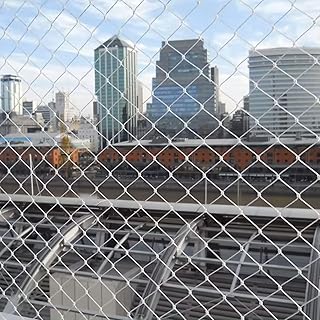 SLEIJAOOE 鳥よけネット 2×5m (結束バンド 15本付き) ベランダ 防鳥ネット 透明色で視界や日差しを遮らない 25mm網目で カラス 鳩 侵入防止 鳥害対策 防鳥網 ブルーベリーや野菜栽培や果樹などの守り鳩避けネット猫よけ 侵入 脱走防止 (2*5m)