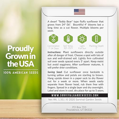 Miniatura 3 de Survival Garden Seeds - Semilla de girasol enano Sungold para plantar - 3 paquetes con instrucciones para cultivar flores de oso de peluche con